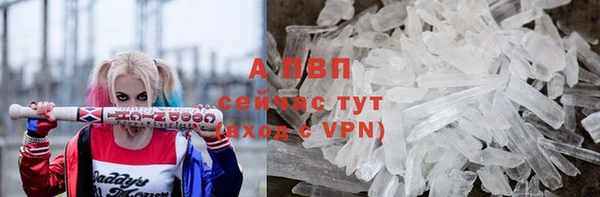 тгк Вяземский